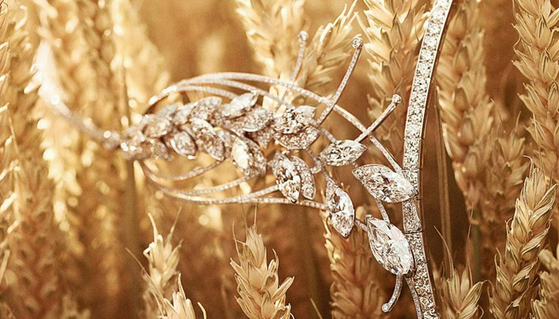 Chanel takes inspiration from wheat for its new high jewellery line - Robb  Report Thailand